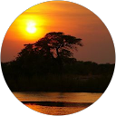 La chaîne des opprimées profile picture